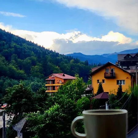 Cozy Studio 4 People With Parking Sinaia Esterno foto