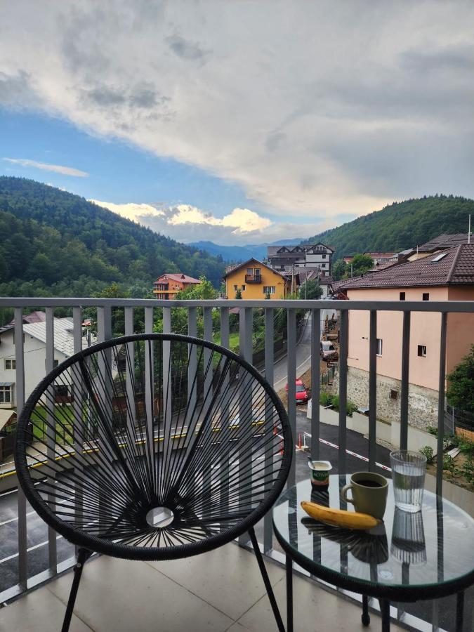 Cozy 4 People With Parking Apartment Sinaia