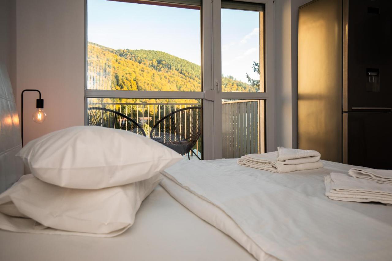 Cozy 4 People With Parking Sinaia
