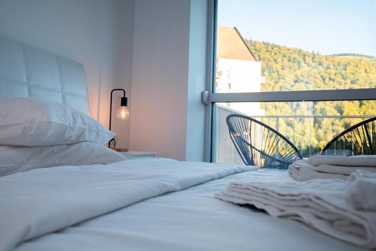Apartment Cozy 4 People With Parking Sinaia