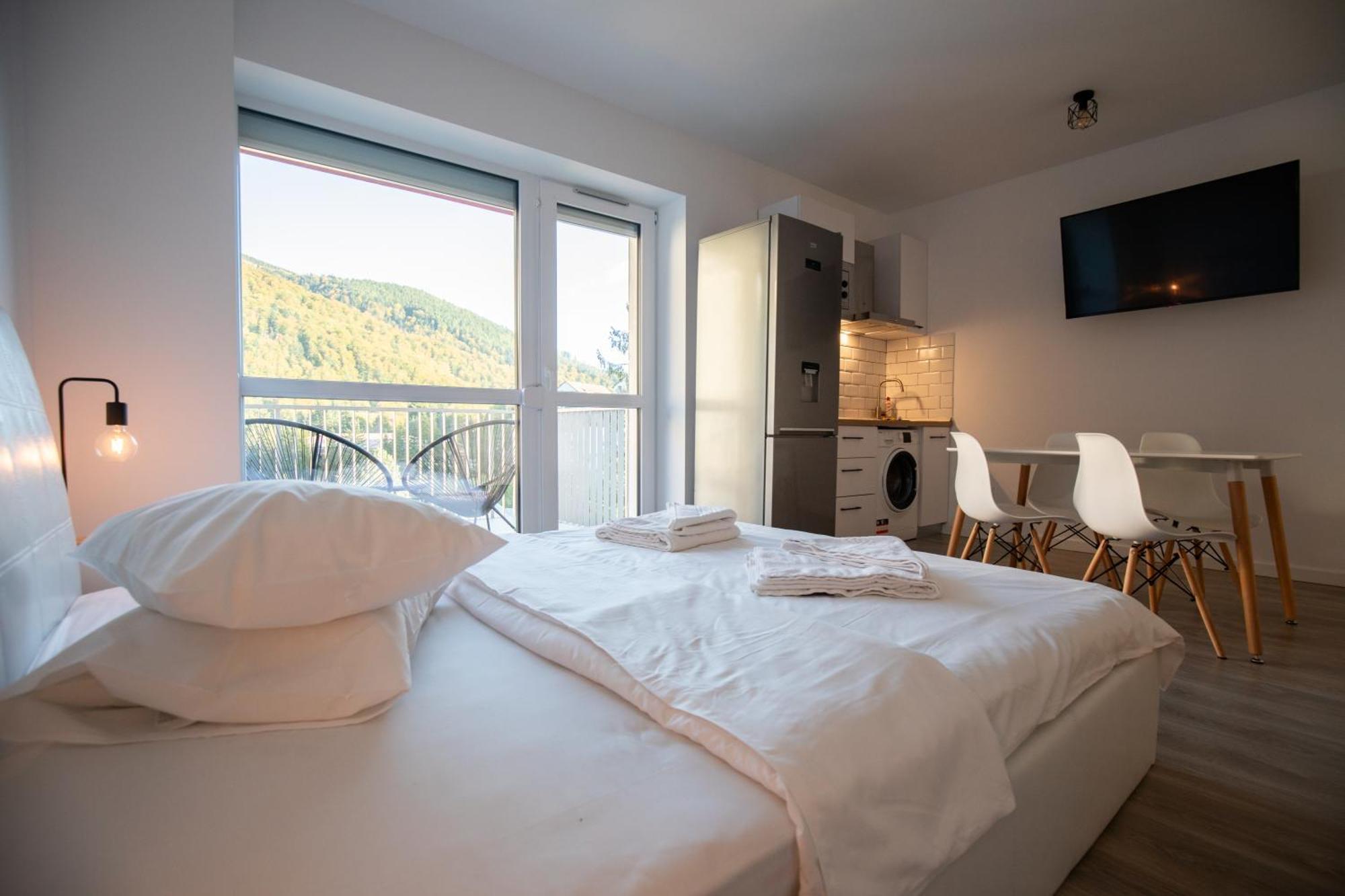 Apartment Cozy 4 People With Parking Sinaia